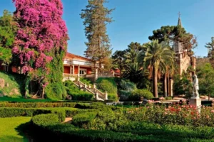 Santa Rita (Tour Premium)